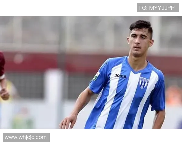 足球界全能之星技能全方位解析与成就回顾