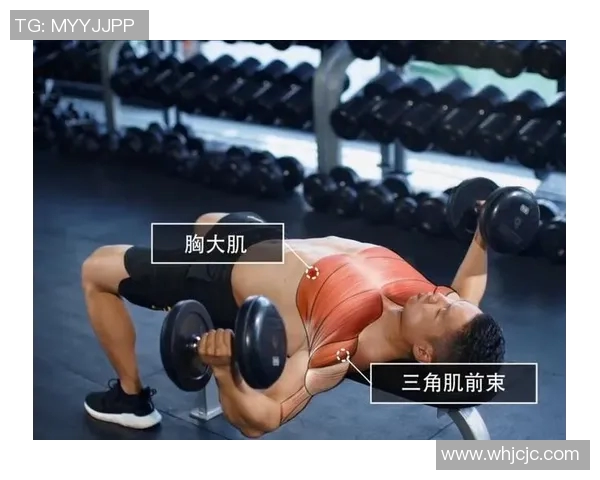 高效哑铃胸肌锻炼视频分享助你塑造完美胸部线条和增强力量